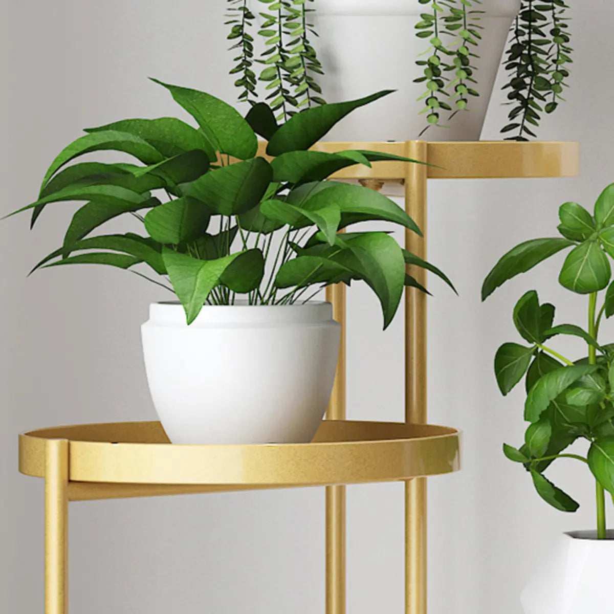 Modern Multi-Tier Orbicular Metal Indoor Gold Plant Stand Image - 9