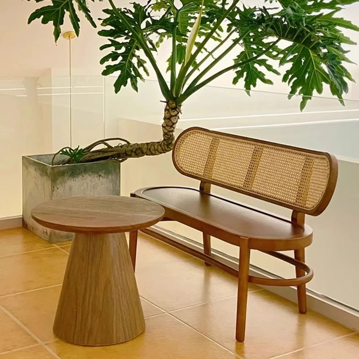 Modern Rattan-Back Wooden Bench for Stylish Home Décor Image - 4