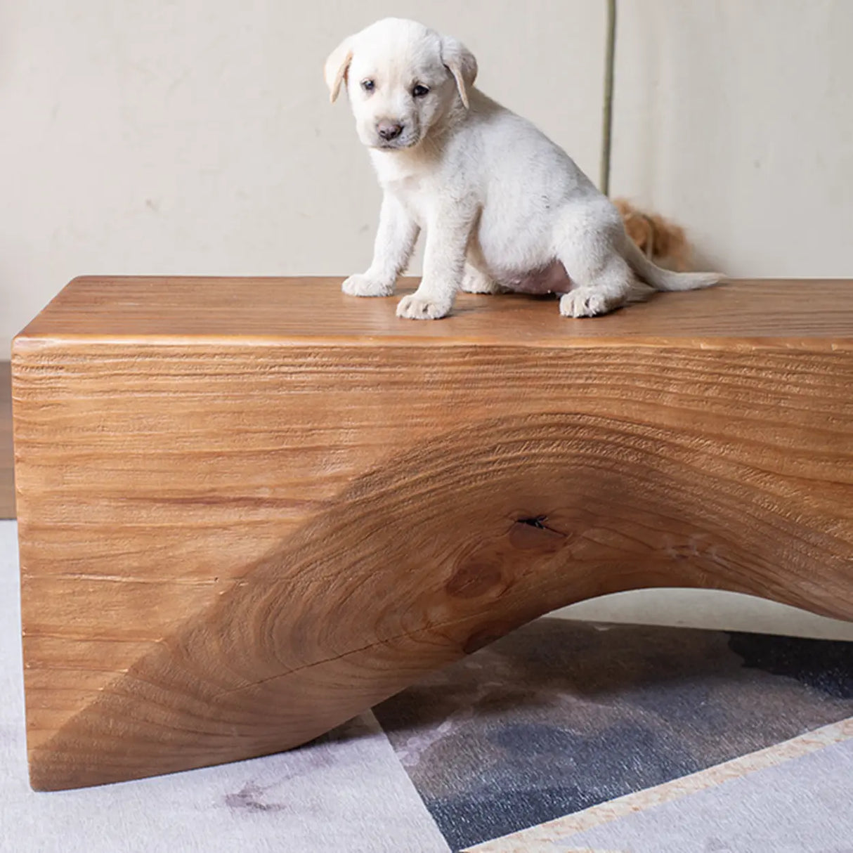 Modern Solid Wood Wave Bench for Home & Office Decor Image - 10