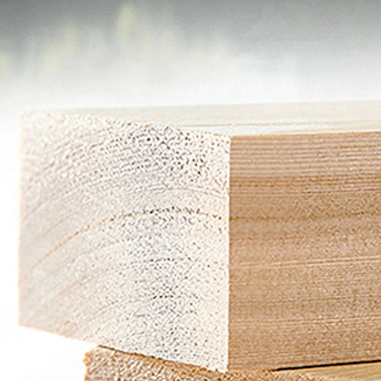 Modern Two-Tone Curved Leather Concealed Support Sofa Image - 13