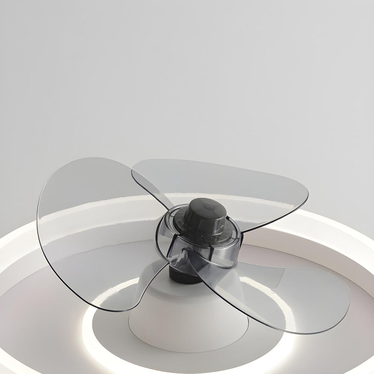 Modern White 3 Blade Circle Ceiling Fan with LED Light Image - 11