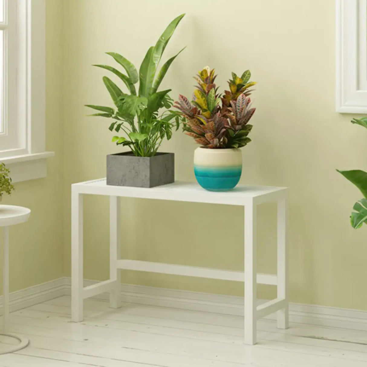 Modish Rectangular Metal Black Sled Base Plant Stand Image - 18