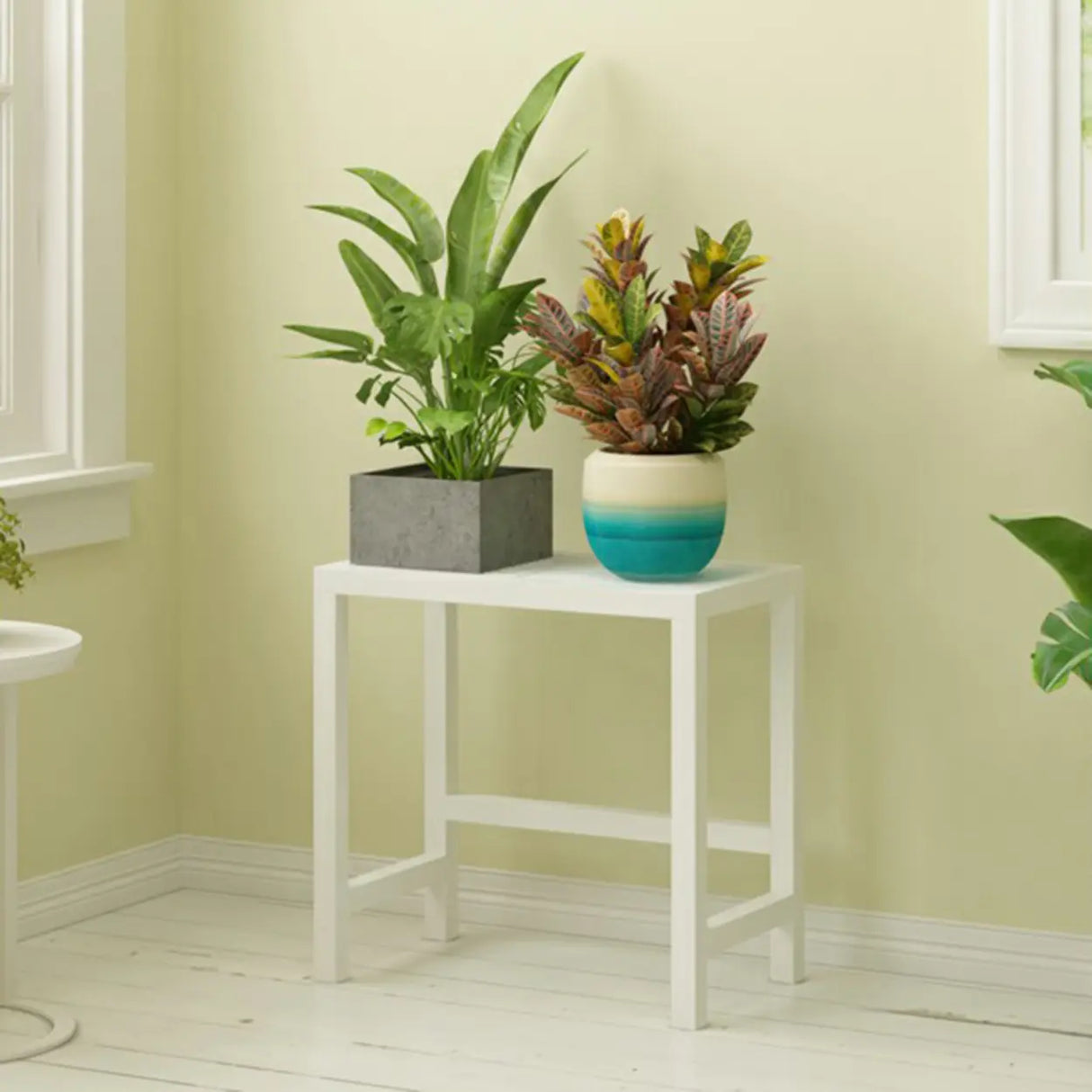 Modish Rectangular Metal Black Sled Base Plant Stand Image - 10