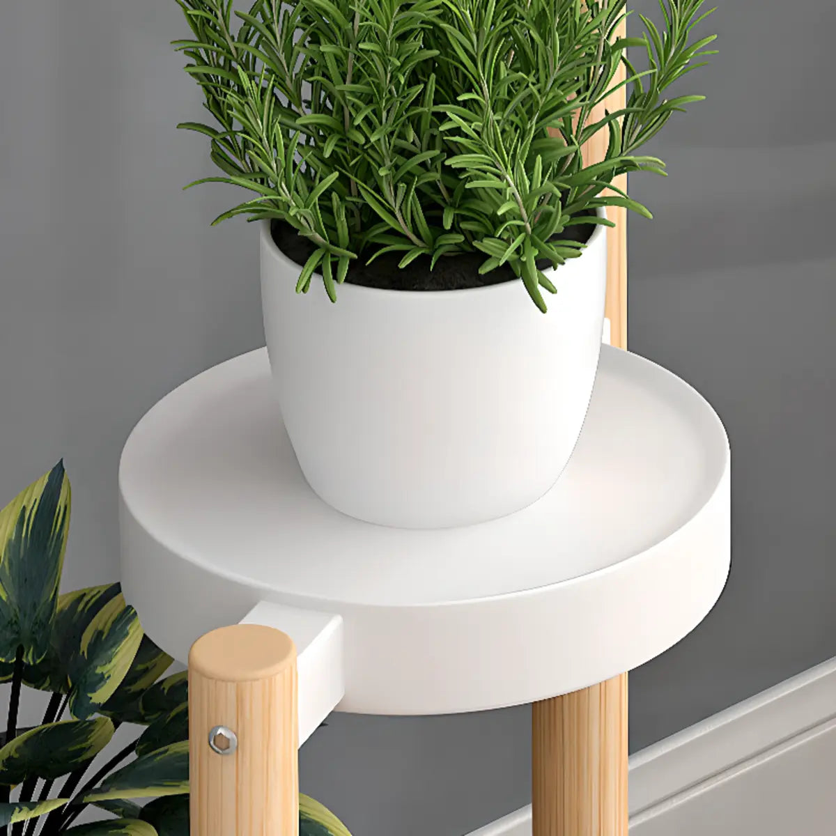 Nordic Round Multi-Level Metal Floor Plant Stand White Image - 10