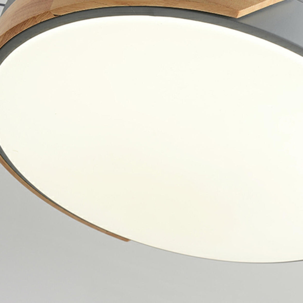 Nordic Style Simple 3 Blade Round Ceiling Fan Light Image - 11