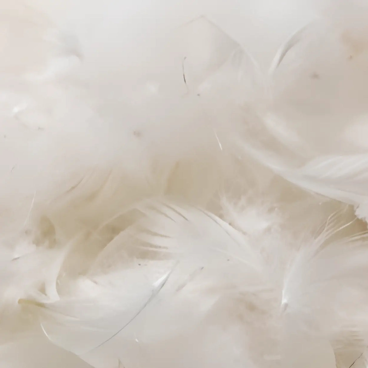 Off-White Faux Cotton Linen Wood Frame Extra Long Sofa Image - 7