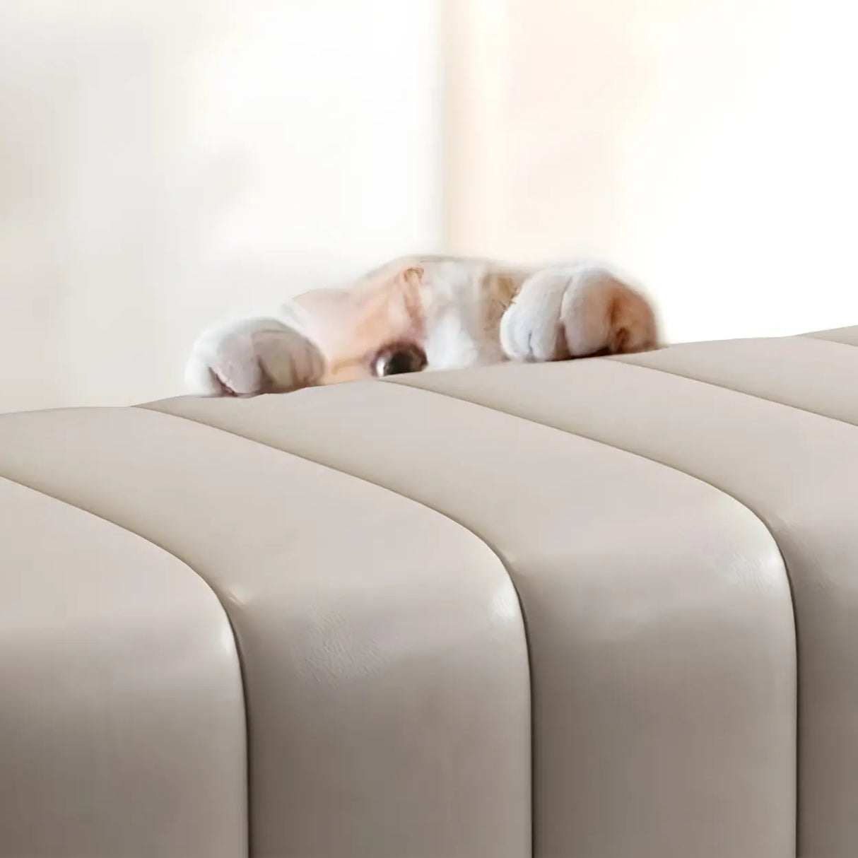 Off-White Genuine Leather Upholstered Bedroom Bench Image - 12