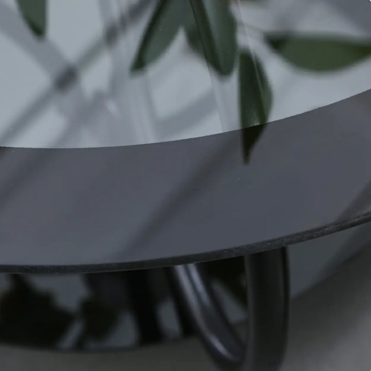 Oval Round Clear Glass Coffee Table with Storage Shelf Image - 16