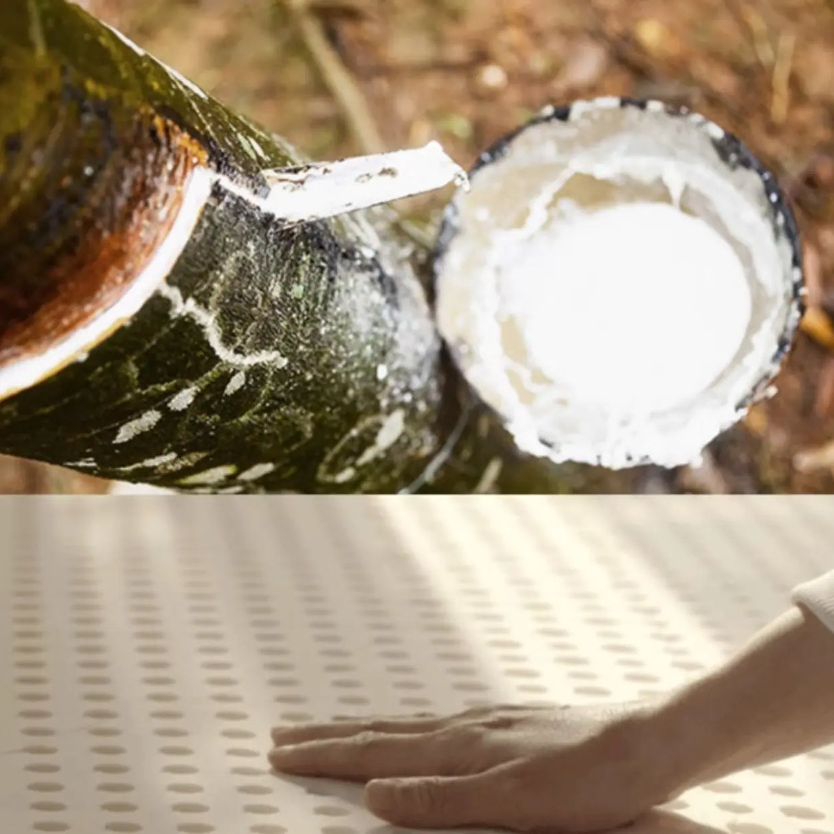 Removable Cushions Rectangle Fabric Reclining Chaise Lounge Image - 5