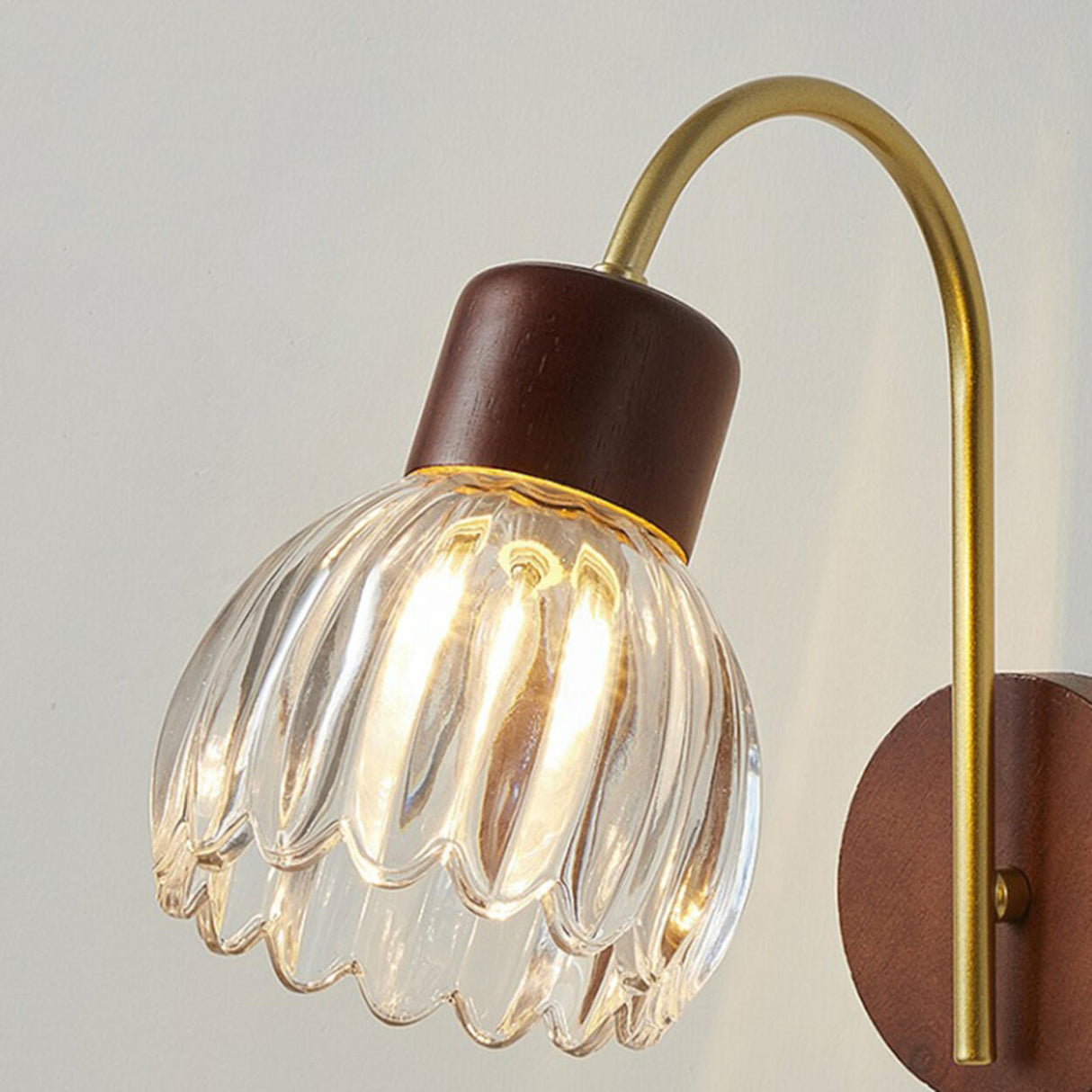 Rustic Walnut Wood Clear Glass LED Wall Sconce Image - 11