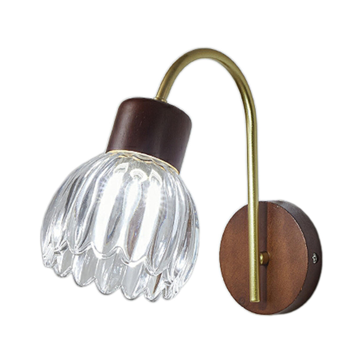 Rustic Walnut Wood Clear Glass LED Wall Sconce Image - 5