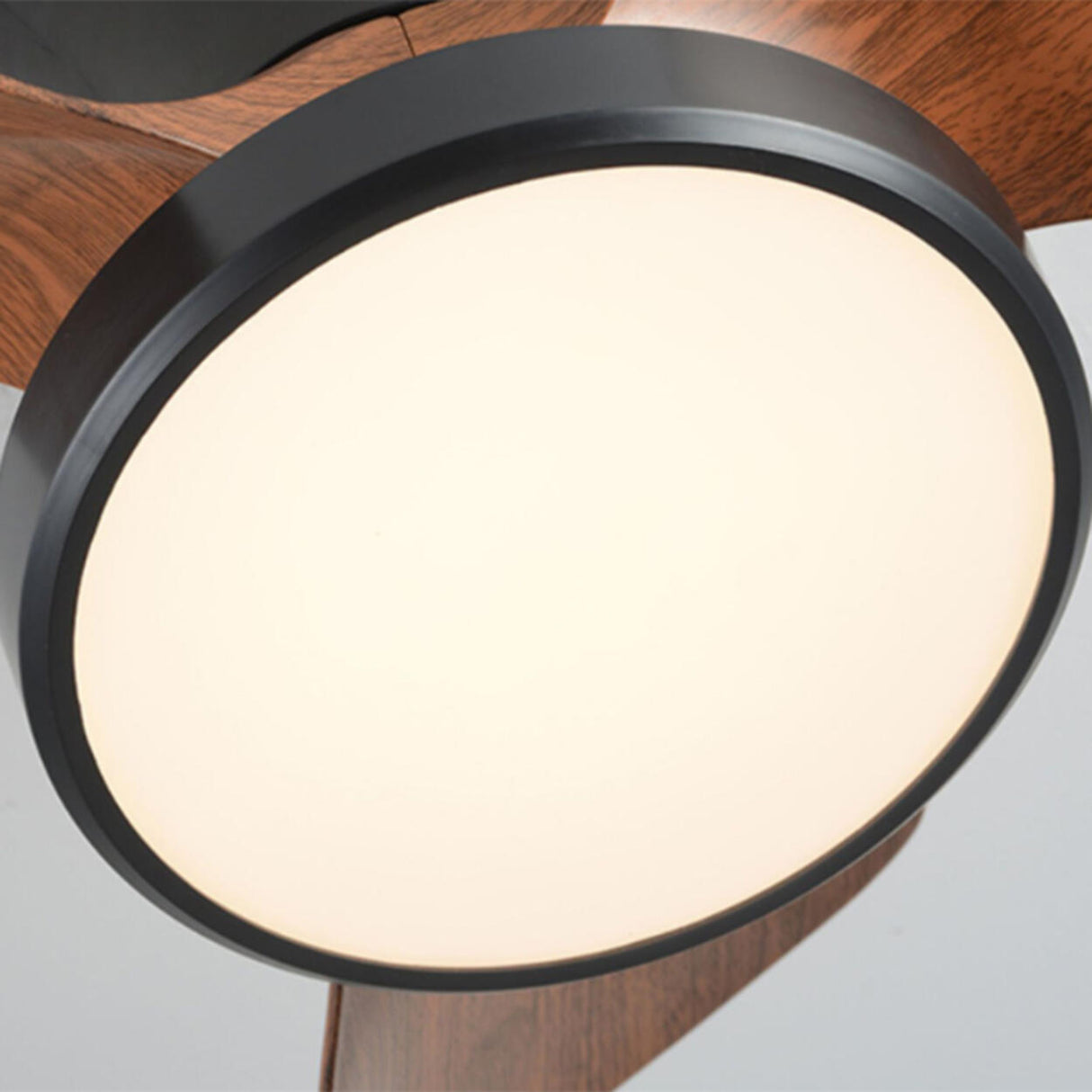 Simple Bedroom 3 Blades Modern LED Ceiling Fan Light Image - 12