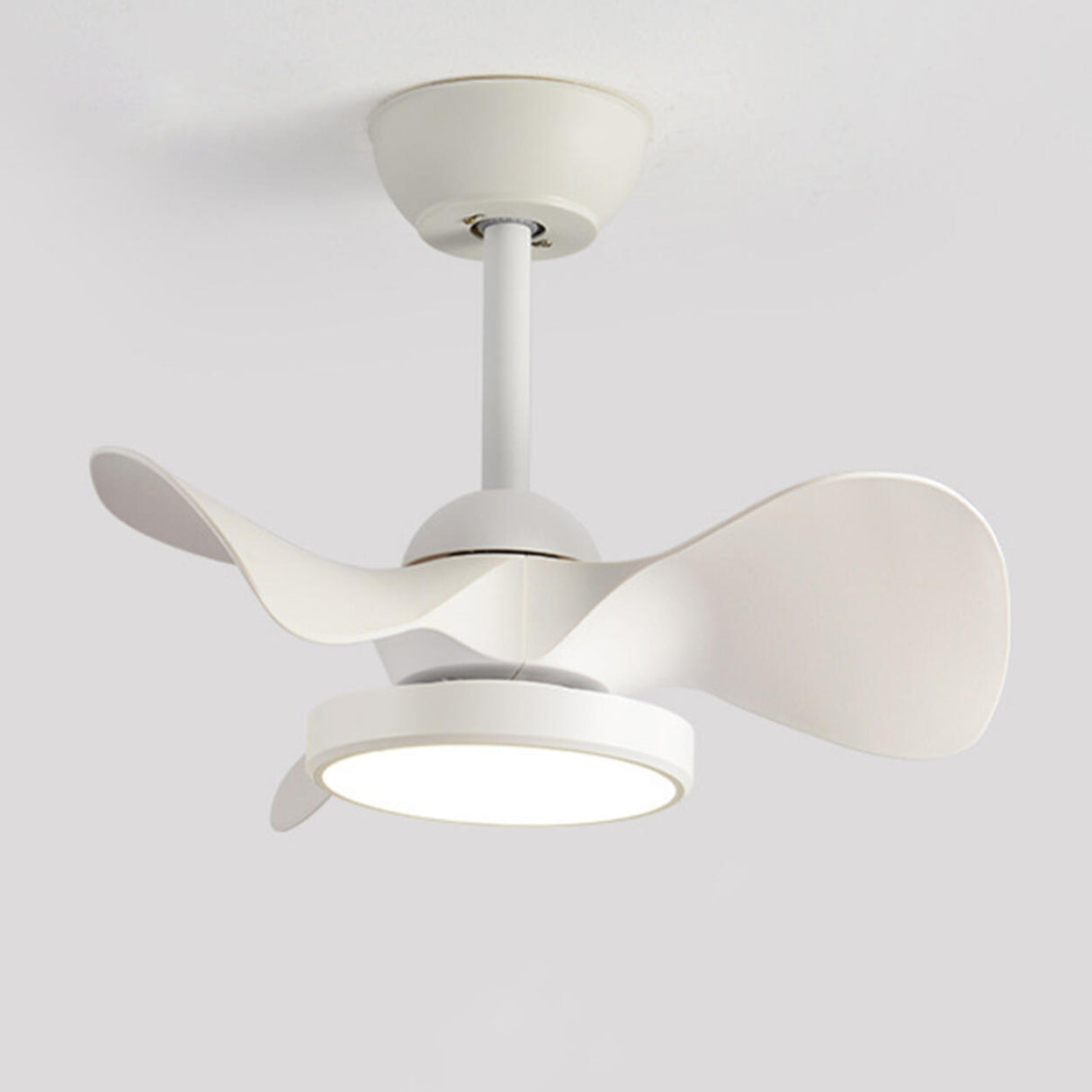 Simple Bedroom 3 Blades Modern LED Ceiling Fan Light Image - 3
