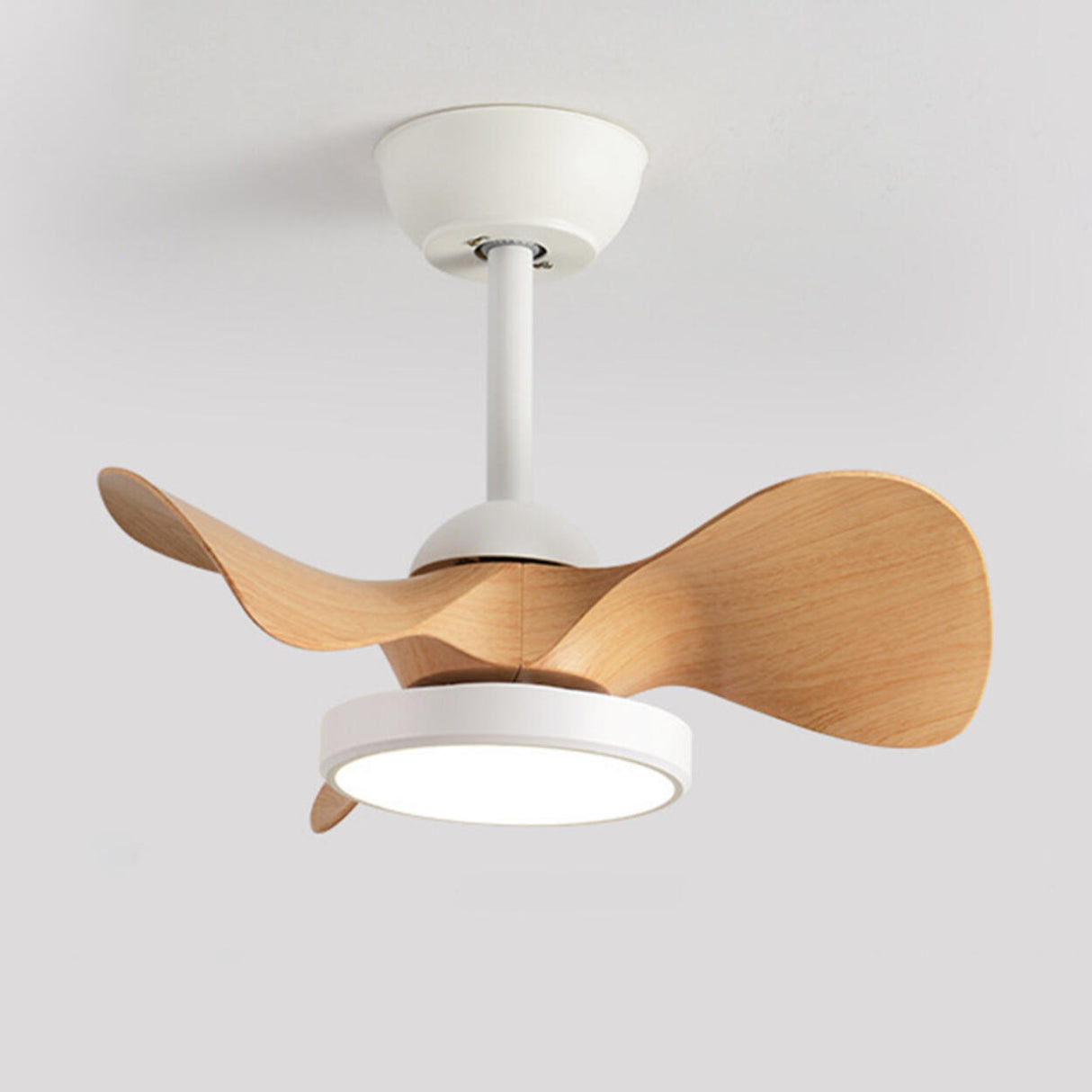 Simple Bedroom 3 Blades Modern LED Ceiling Fan Light Image - 5