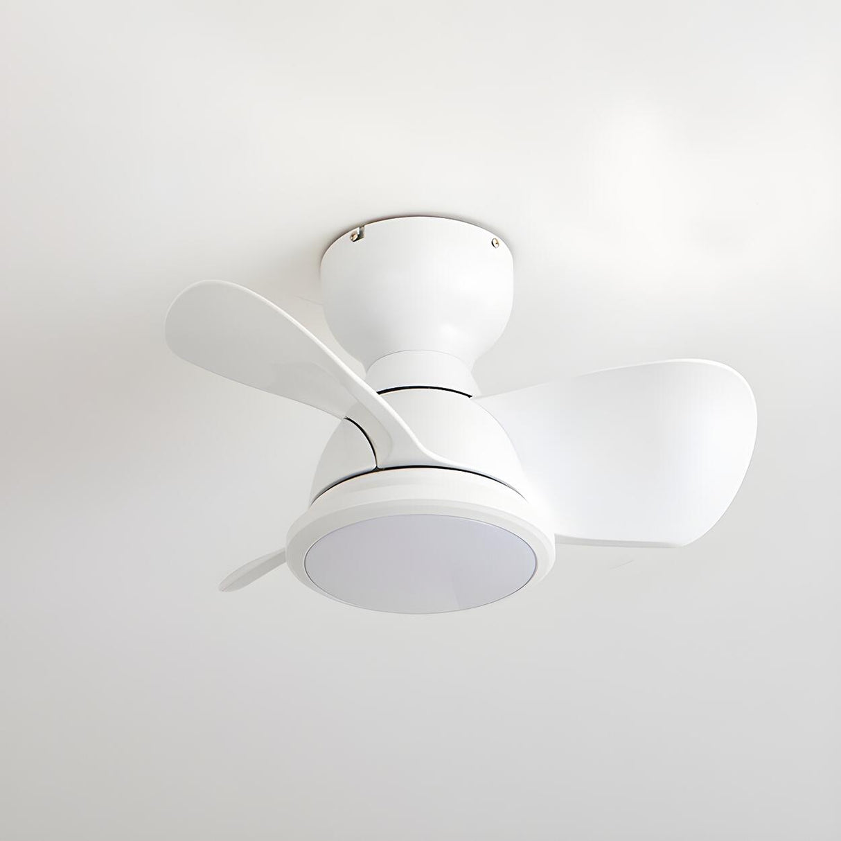 Simple Mini Flush Modern 3 Blade Ceiling Fan with Light Image - 14