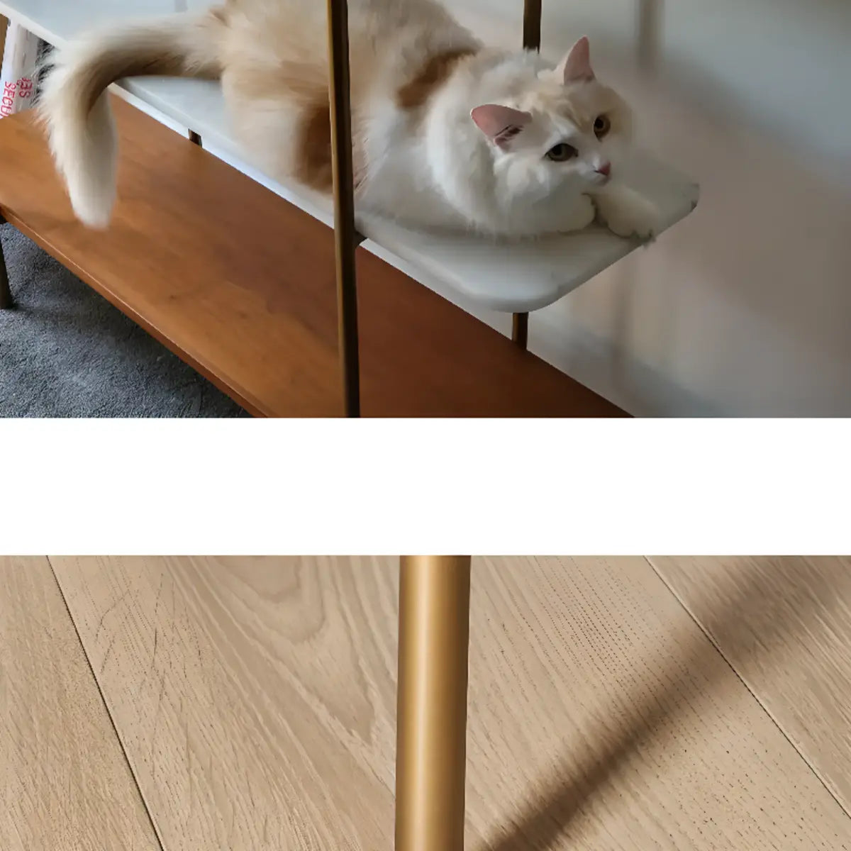 Simple Open Back 5-Tier Walnut Brown Display Bookcase Image - 5