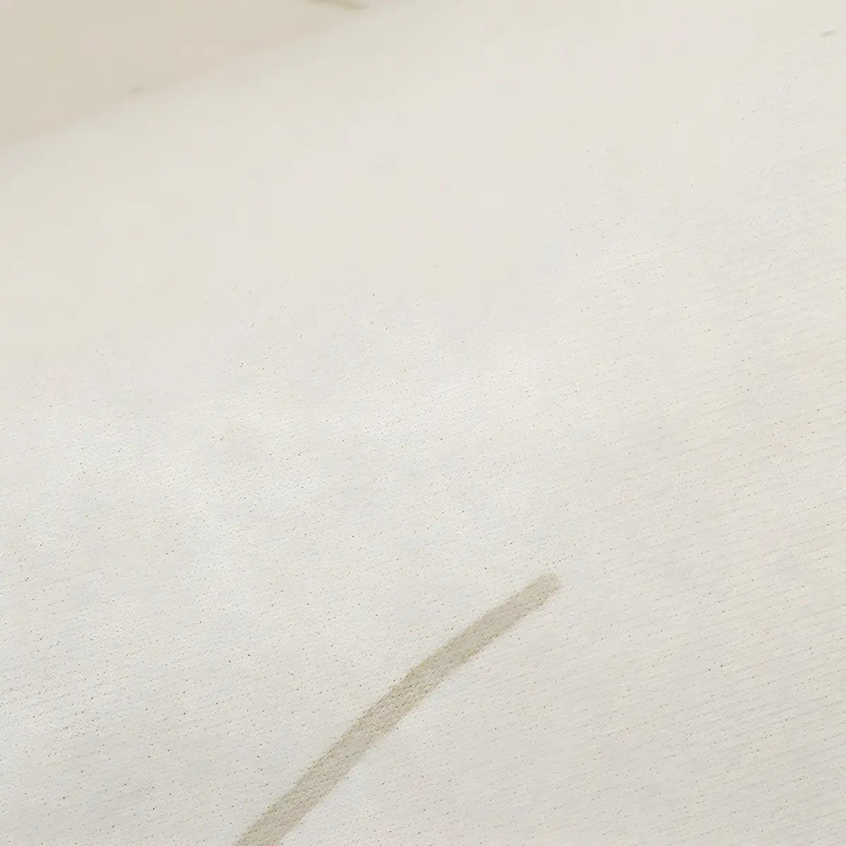 Simplicity Beige Polyester Rectangular Area Rug Image - 6