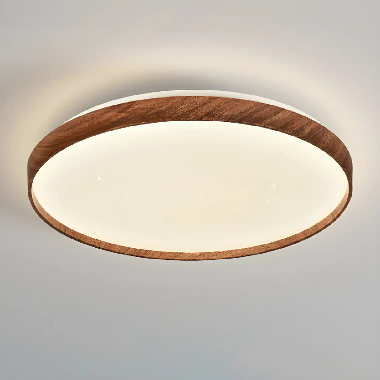 Simplicity Brown Round LED Dimmable Flush Mount Light Image - 6