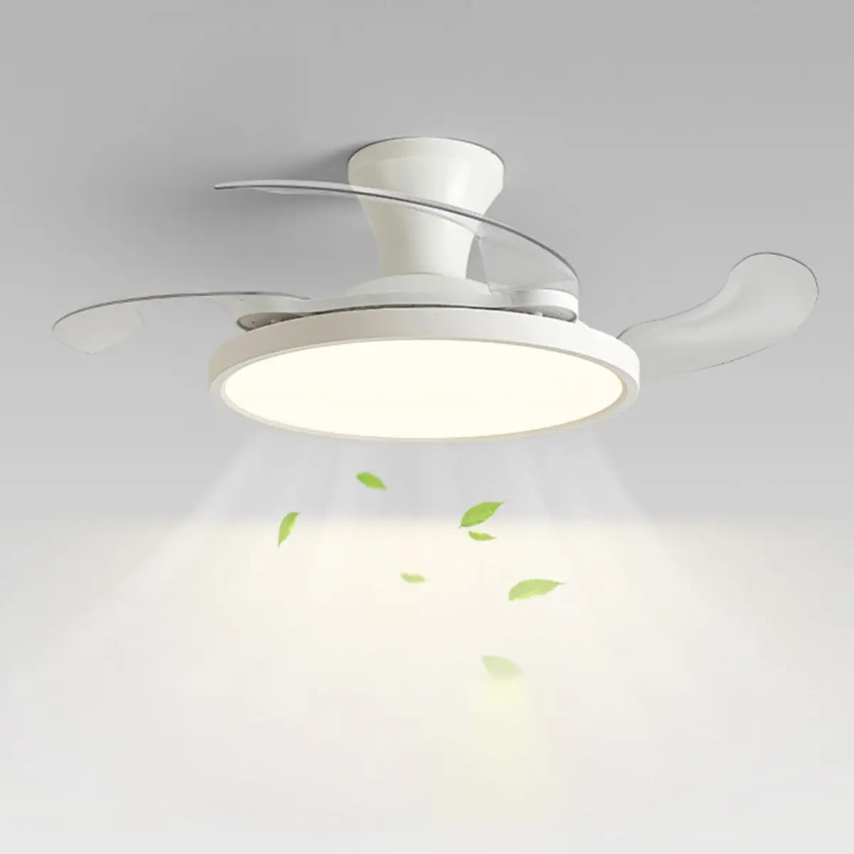 Simplicity White Clear Blades LED Ceiling Fan Light Image - 5