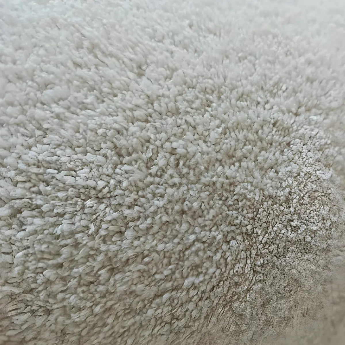 Solid Color Rectangular Polyester Beige Bedroom Area Rug Image - 6