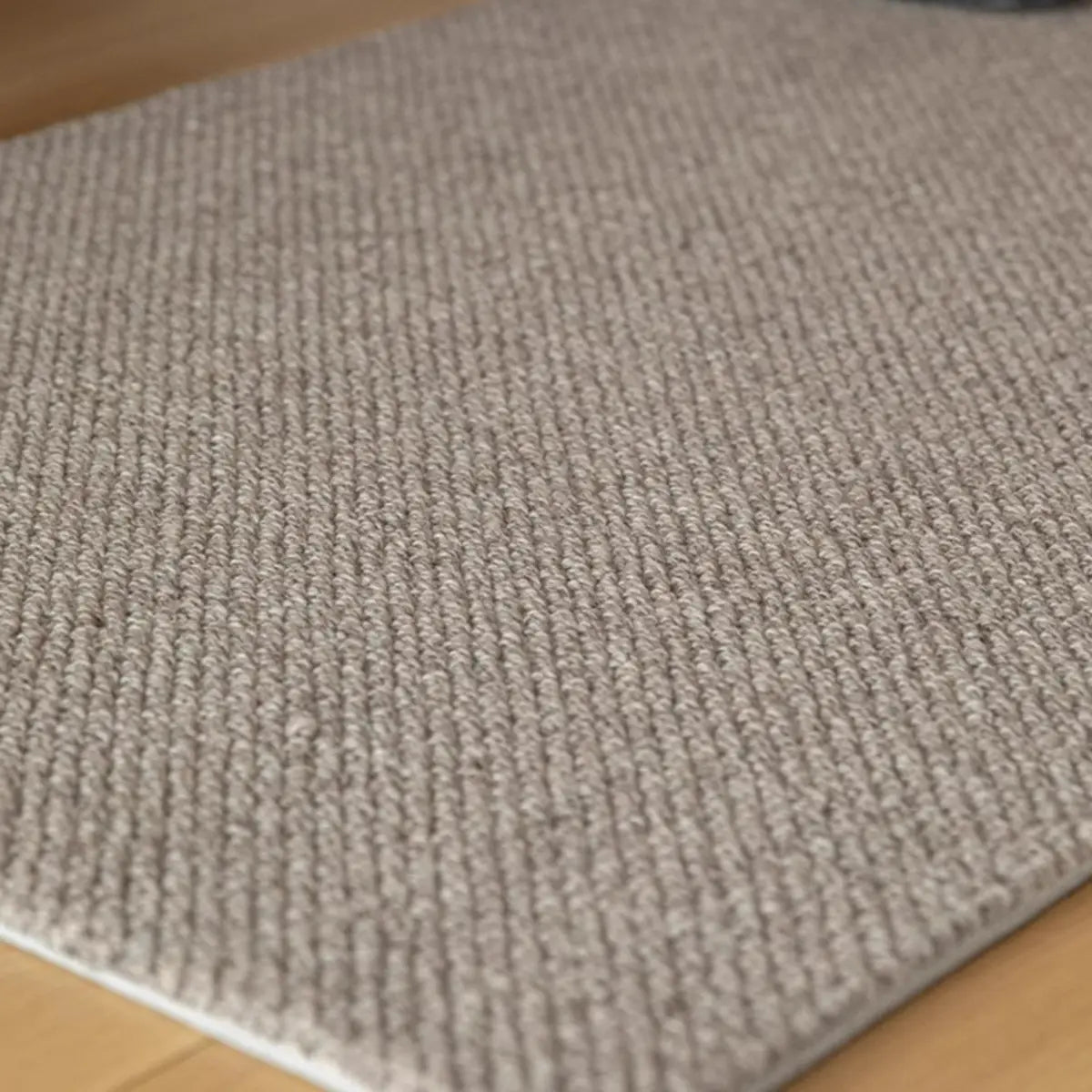 Solid Color Rectangular Polyester Gray Medium Area Rug Image - 2