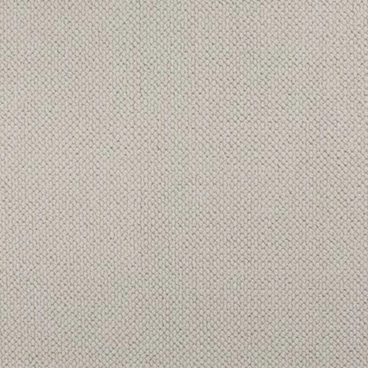 Solid Color Rectangular Polyester Gray Medium Area Rug Image - 8