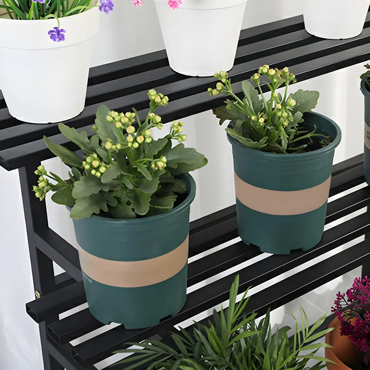 Stain-Resistant Black Metal Rectangle Multi-Tier Plant Rack Image - 14