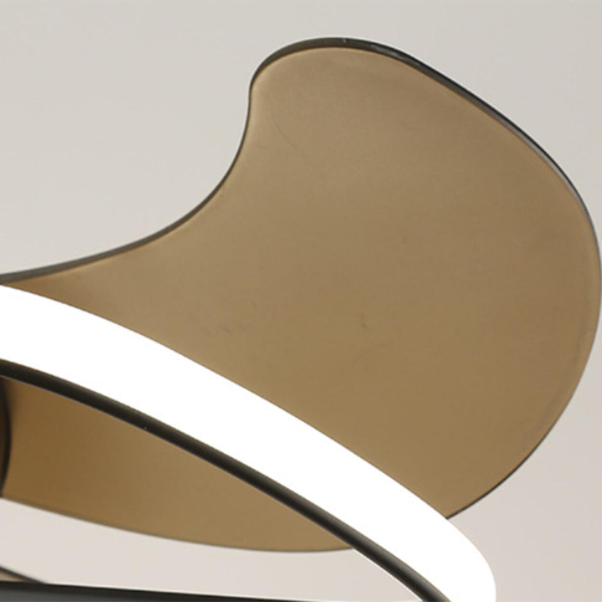 Stylish Elegant Flower Modern Ceiling Fan with Light Image - 10