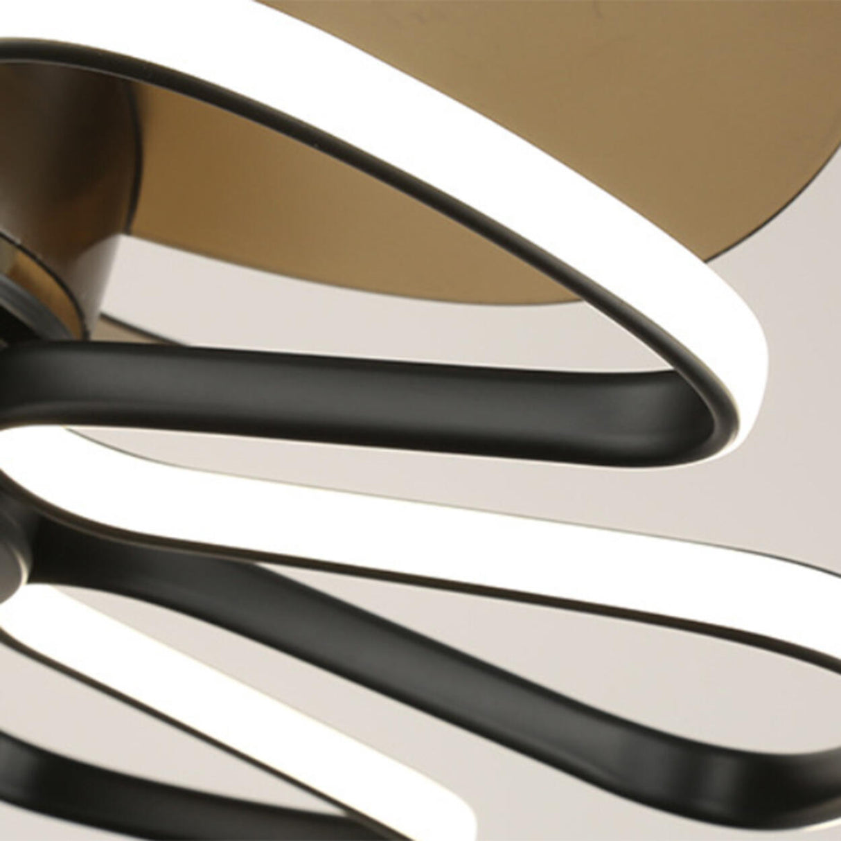 Stylish Elegant Flower Modern Ceiling Fan with Light Image - 11