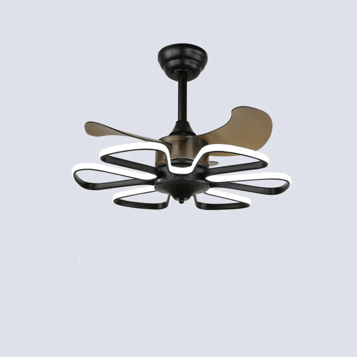 Stylish Elegant Flower Modern Ceiling Fan with Light Image - 3