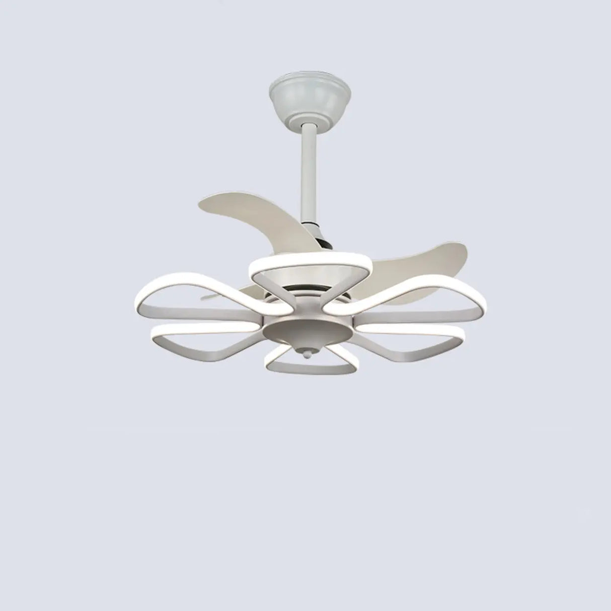 Stylish Elegant Flower Modern Ceiling Fan with Light Image - 4