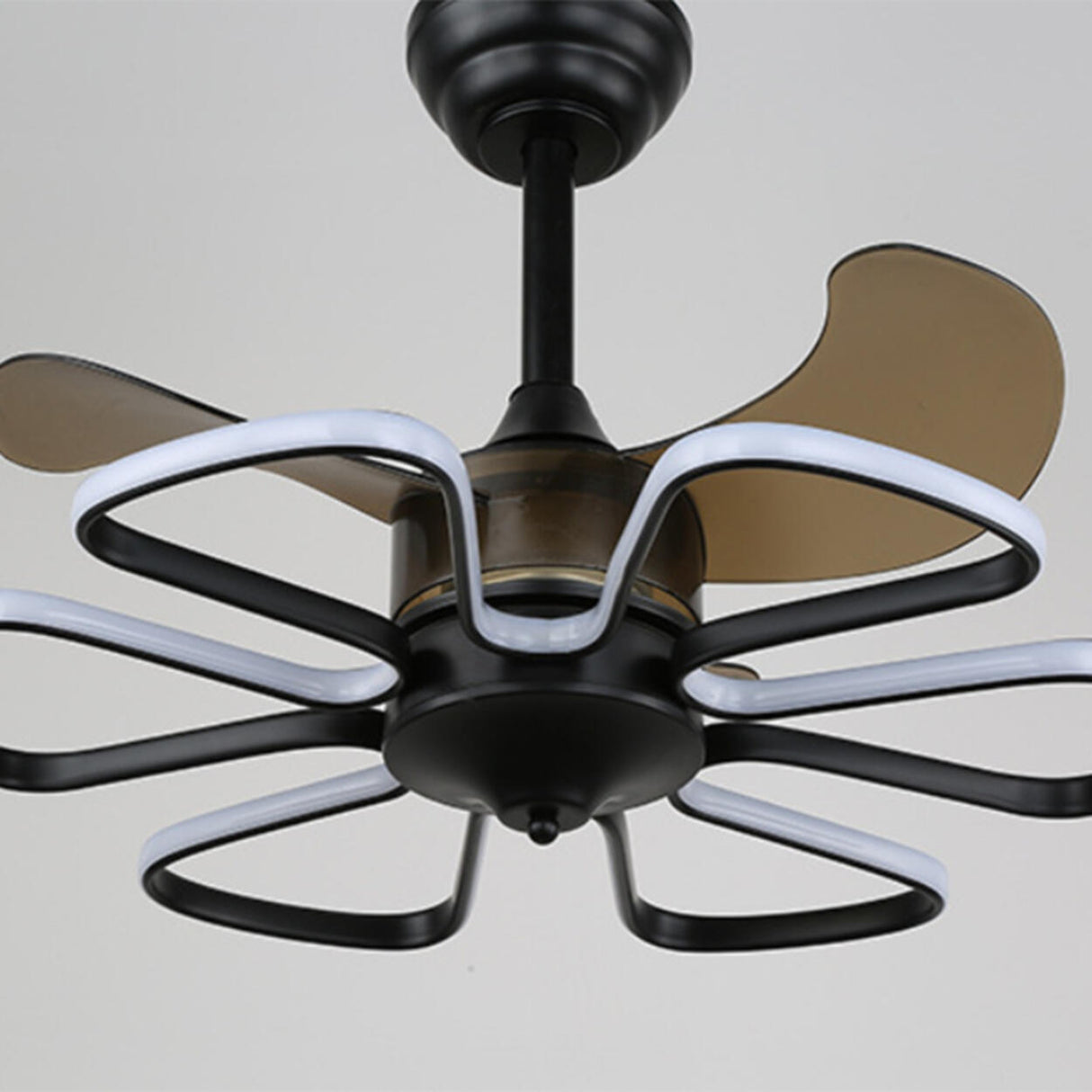 Stylish Elegant Flower Modern Ceiling Fan with Light Image - 8