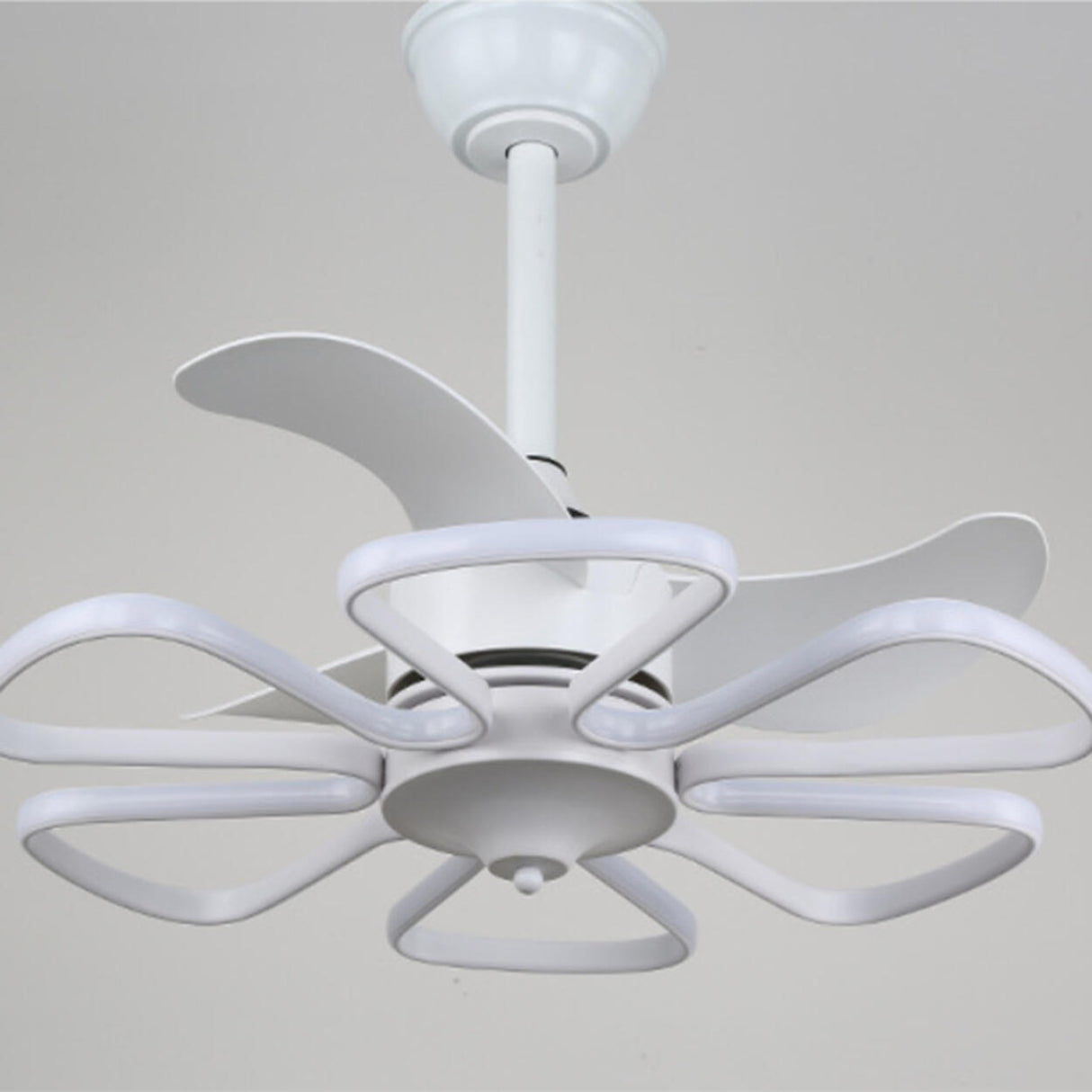 Stylish Elegant Flower Modern Ceiling Fan with Light Image - 9