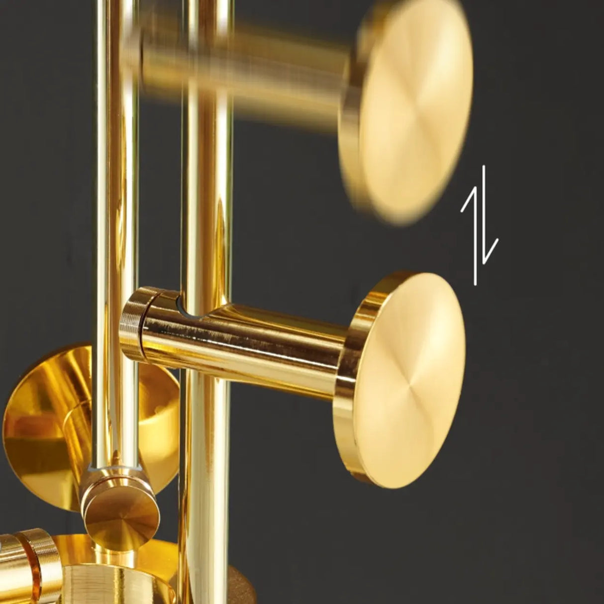 Tall Metal Gold-Black Freestanding Hooks Coat Rack Image - 13