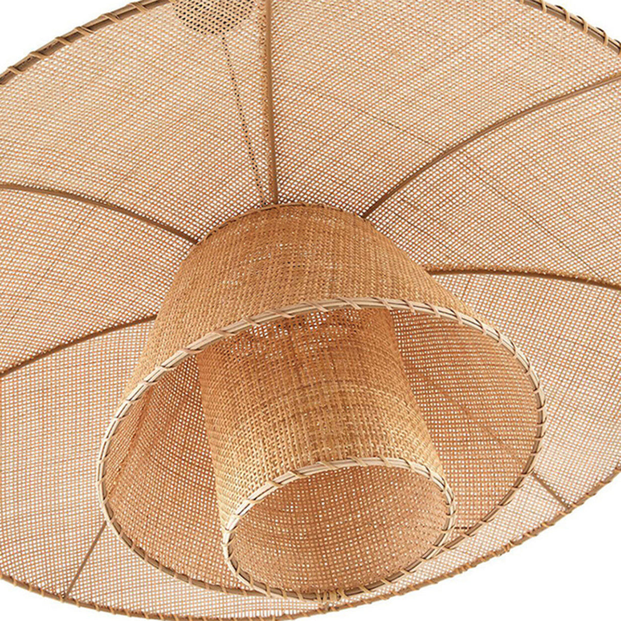 Unique Natural Flower Rattan Leaf Pendant Light Image - 11