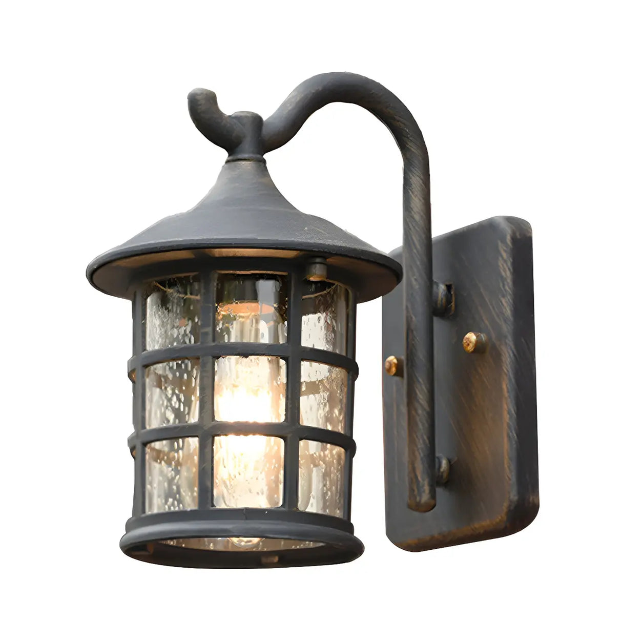 Waterproof Rustic Black Birdcage Glass Outdoor Wall Light Image - 8