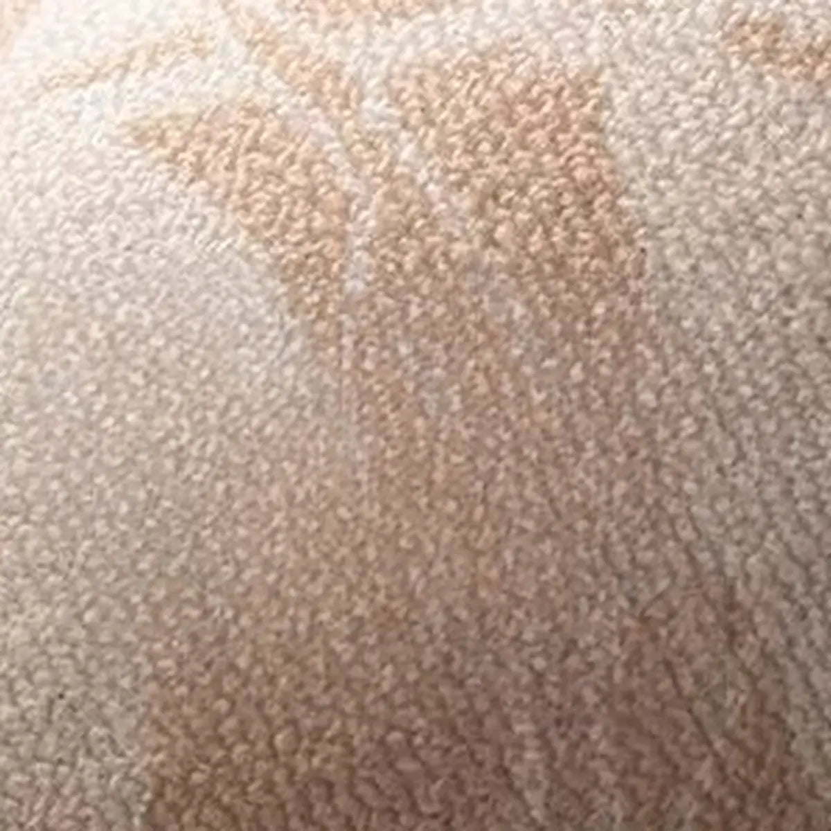 Waterproof Vintage Rectangle Black Floral Area Rug Image - 6