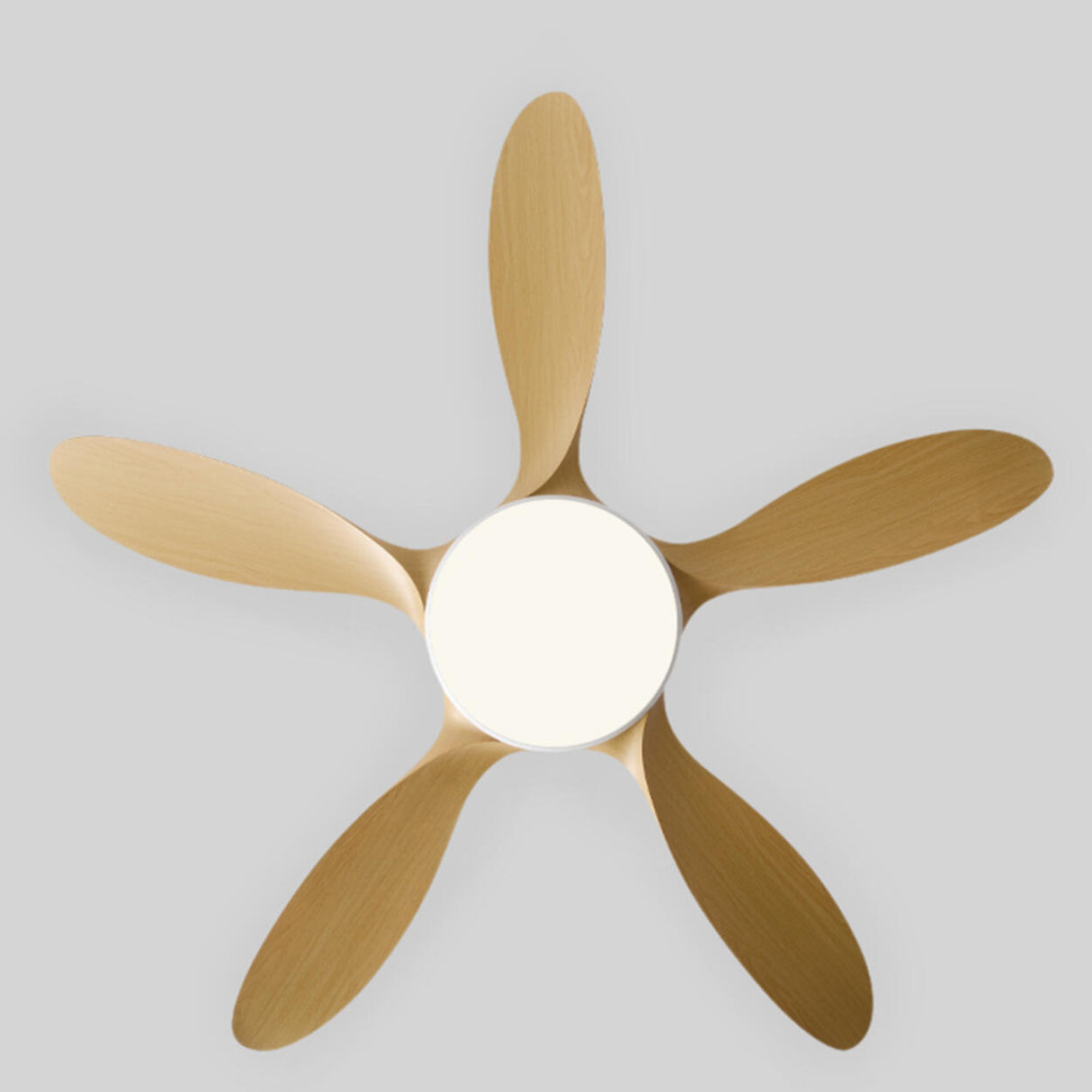White Metal ABS Blade Living Room Ceiling Fan Light Image - 13