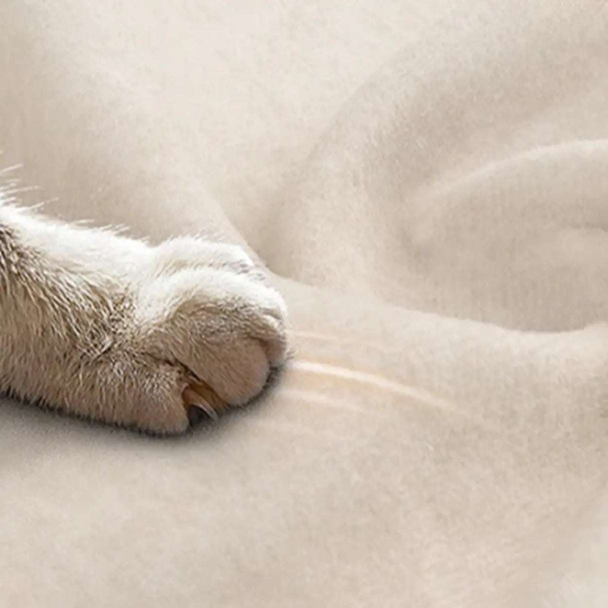 White Water Resistant Velvet Tufted Back Foam Fill Sofa Image - 12