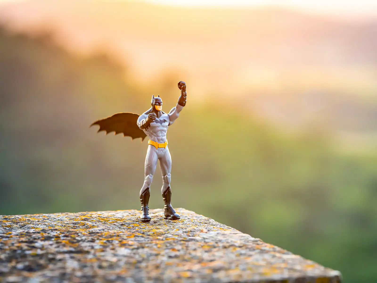 Anime Figure