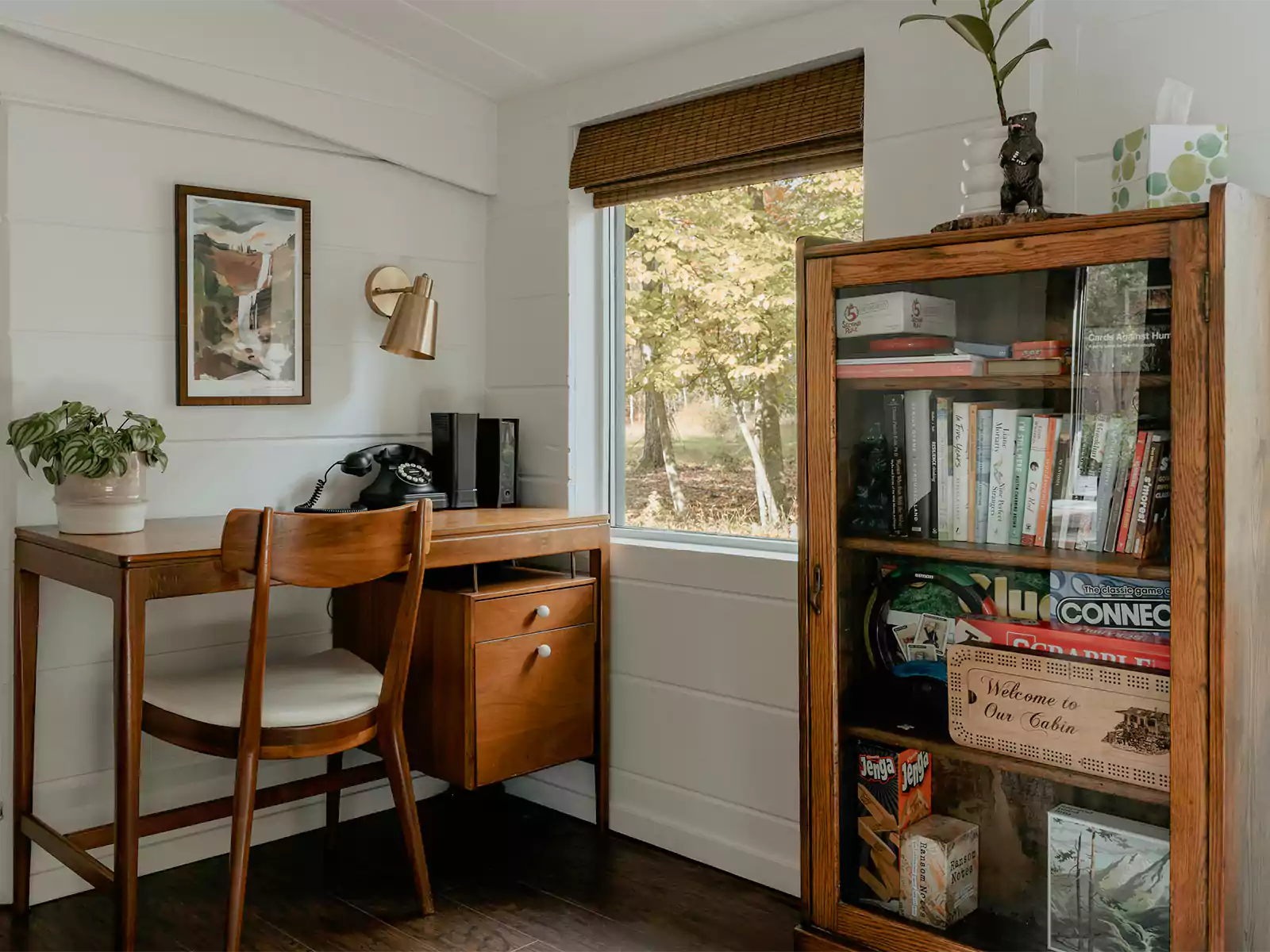 Mid-Century Modern Bookshelves