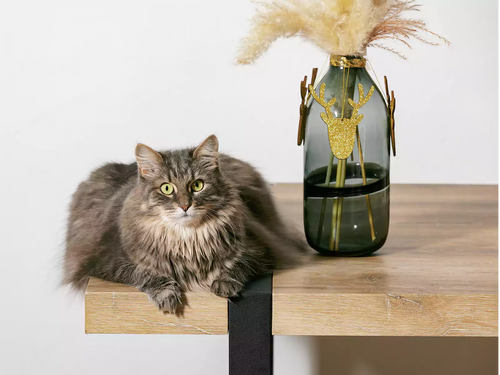 2025 Best Pet-Friendly Bar Tables for Homes with Furry Friends