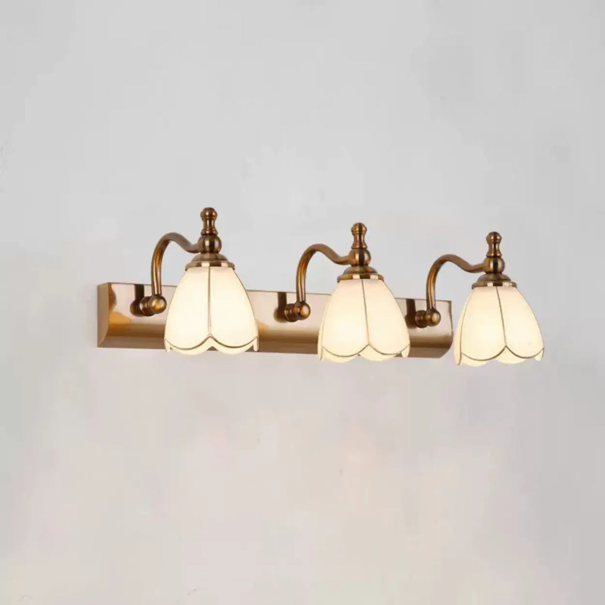 2-Light Vintage Brass Floral Glass LED Vanity Light Image - 9