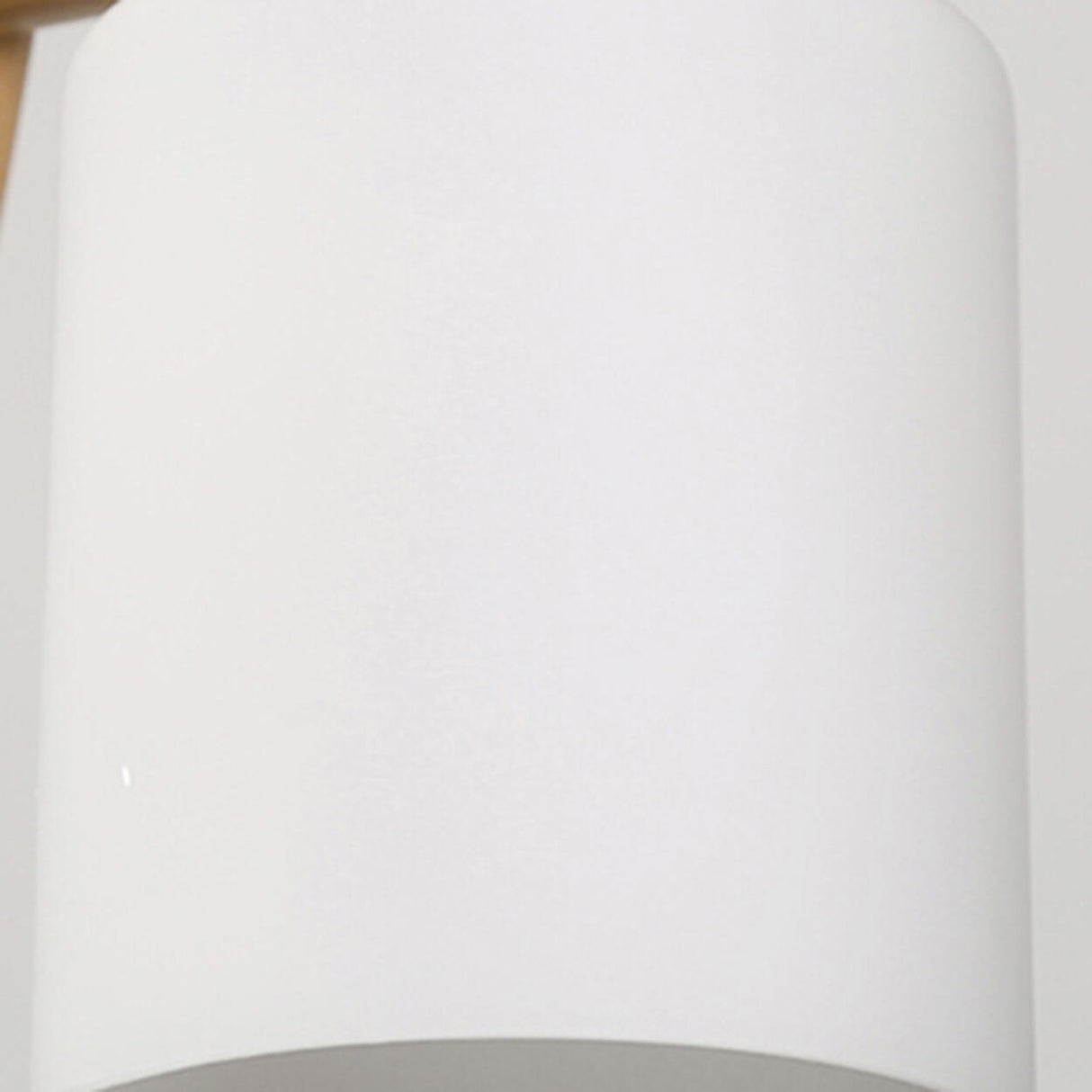 3-Light Bird and Cylinder Wooden Branch Island Light Image - 14