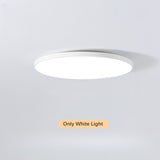 Minimalist White Round LED Flush Mount Ceiling Light