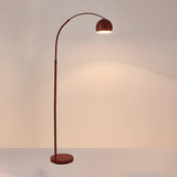 Adjustable Multiple Colors Dome and Arch Floor Lamp Image - 8