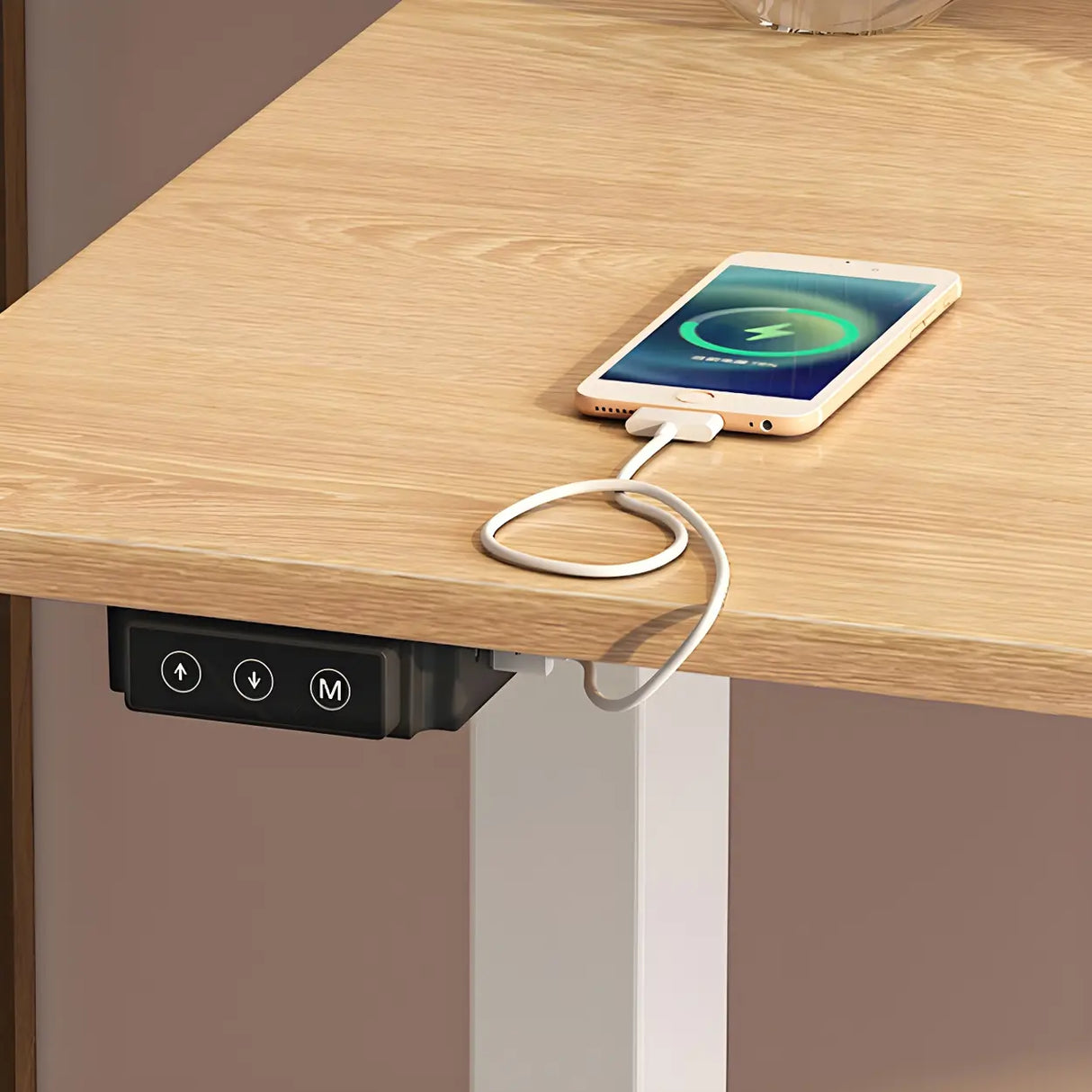 Adjustable Rectangular Steel T-Shape Standing Desk Image - 8