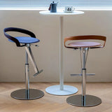 Adjustable Swivel Leather Steel Bar Stool with Footrest Image - 6
