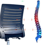 Black Adjustable Comfort Ergonomic Mesh Office Chair Image - 9