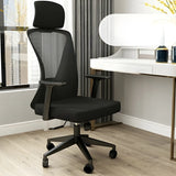 Black Finish Ergonomic Mesh High-Back Office Chair Image - 1